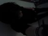 1218101521-00.jpg