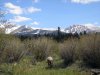 P5270039resize.jpg