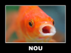 Goldfish NOU.png