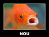 Goldfish NOU.png Goldfish NOU.png