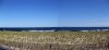 oceans_city_small.jpg