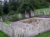 IMG_7230.JPG