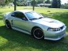 stang05.jpg
