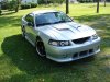 stang04.jpg