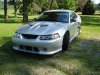 stang00.jpg