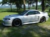 stang01.jpg