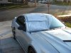 stang_roof.jpg