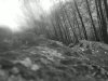111015_012C.jpg