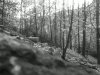 111015_010C.jpg