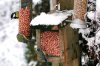 BirdFeederSnowCredGardenWorldImages_L.jpg