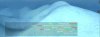 272 ON FROSTY.jpg