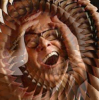 1330876695139.png