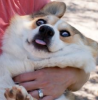 1334823720996.png