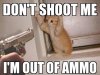 Kitten Criminal out of ammo.jpg