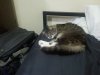 20121123_191632.jpg