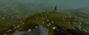 Capture.PNG