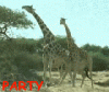 party hard.gif