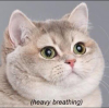 heavy breathing.PNG