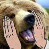amazebear.jpg