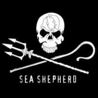 Sea_Shepherd_Crew