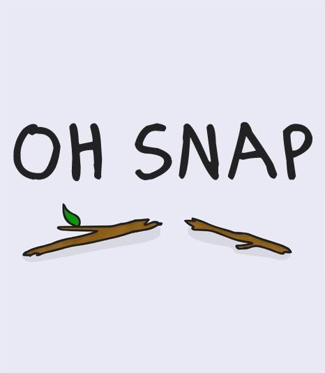 oh-snap2.jpg