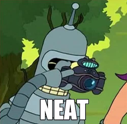 NEAT.jpg