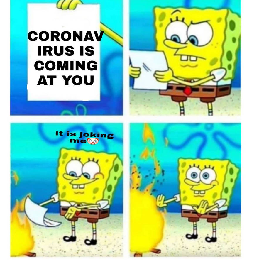 ehy79.jpg