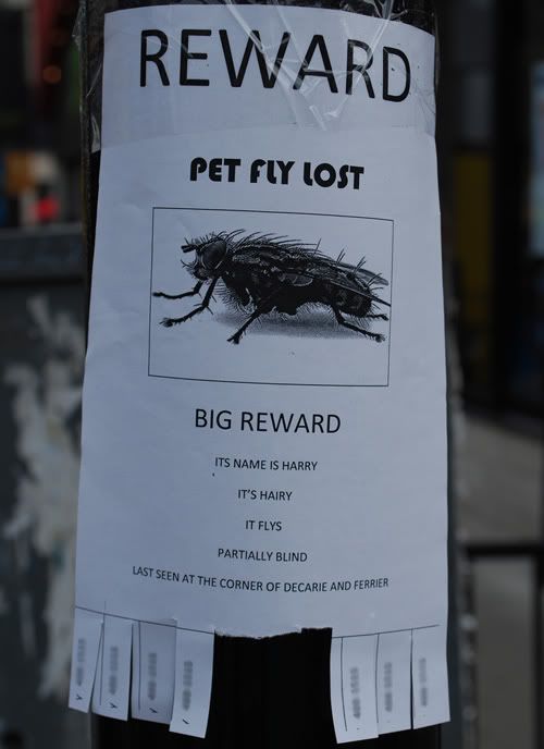 sign-fly.jpg