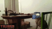 1330579192482.gif