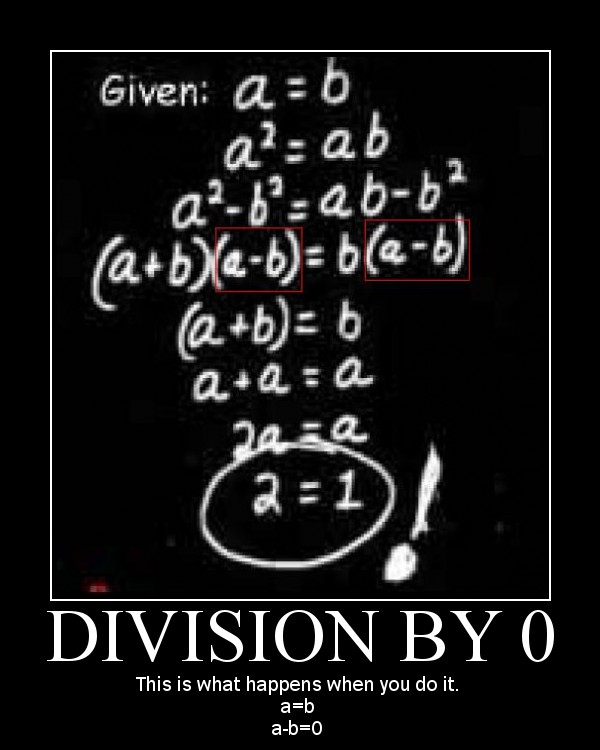 Result_of_a_division_by_0.jpg